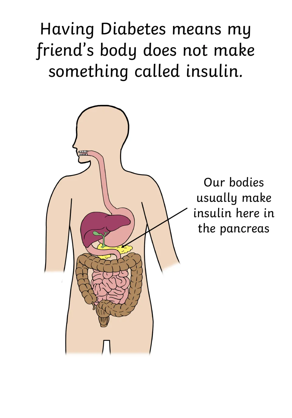 What diabetes means: the body does not make insulin; a labeled torso diagram points to the pancreas where it is made
