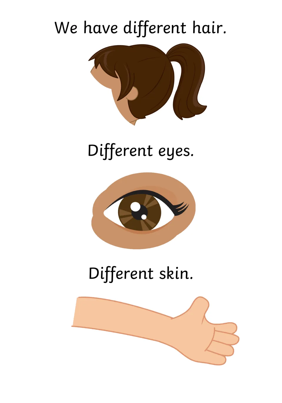 Social story page naming differences in hair, eyes, and skin, with illustrations of each body feature