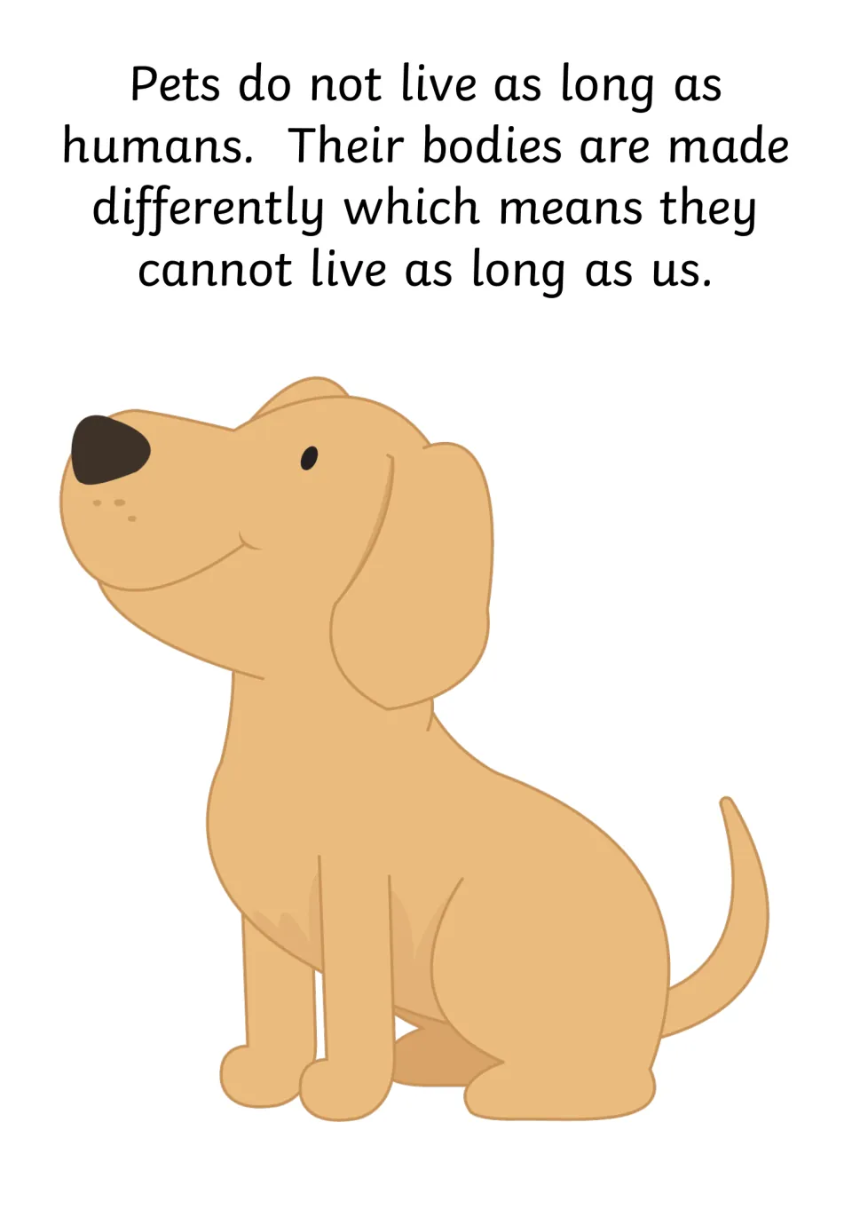 Social story page 2 says pets do not live as long as humans because their bodies are made differently.