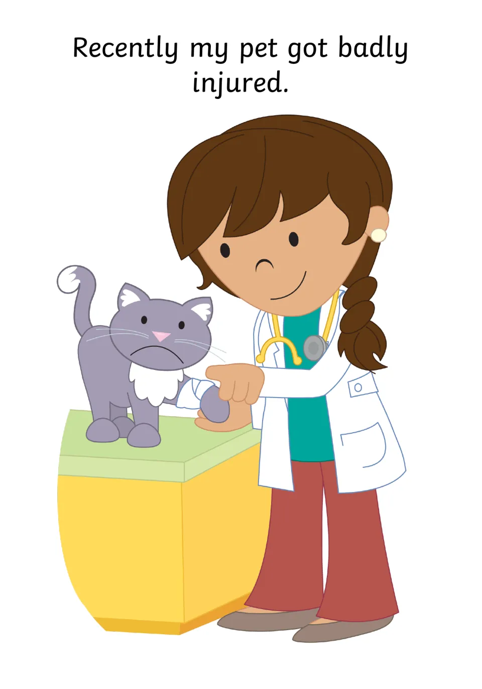 Social story page 5 reads 'Recently my pet got badly injured' and shows a veterinarian examining a cat.