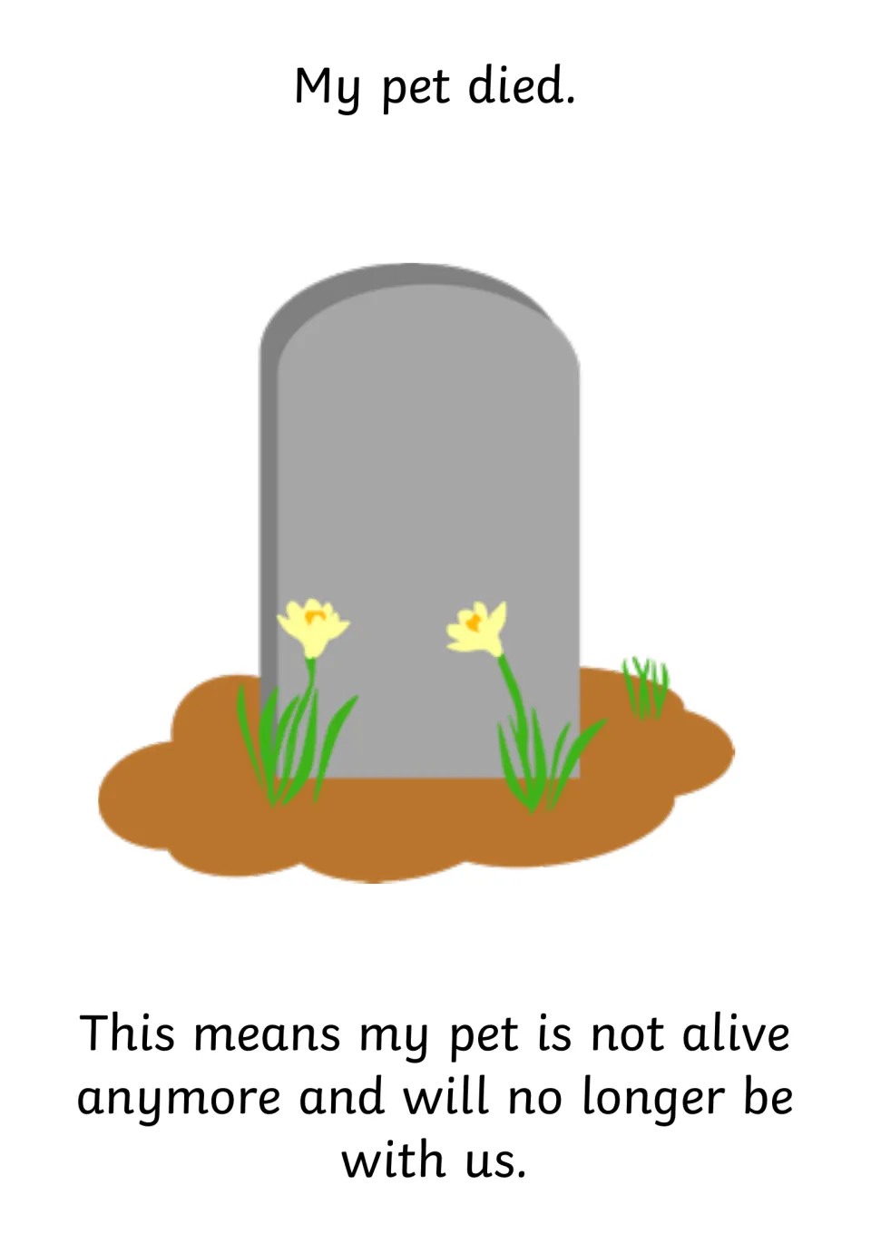 Social story page 7 explains that the pet died, is no longer alive, and will no longer be with the family.