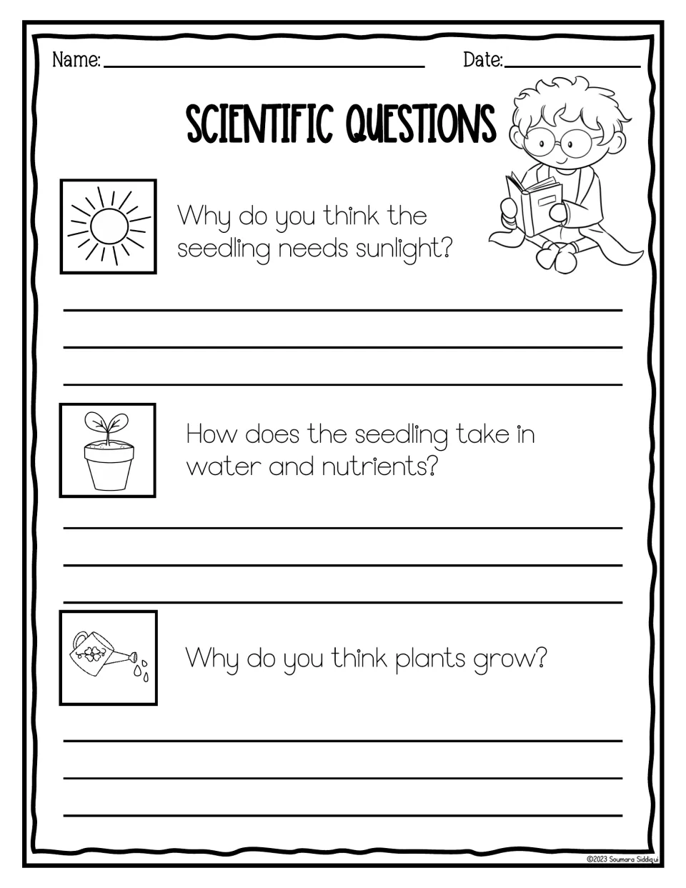 Scientific questions: students explain why the seedling needs sunlight, how it takes in water and why plants grow