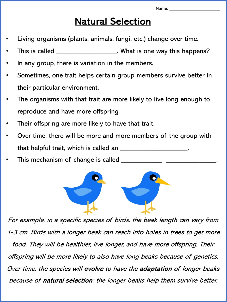 Natural selection notes: students fill in evolution vocabulary blanks, then read a bird beak length example with two birds