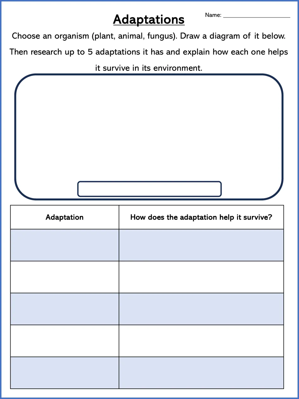 Adaptations research: students draw a chosen plant, animal or fungus and explain how up to 5 adaptations help it survive