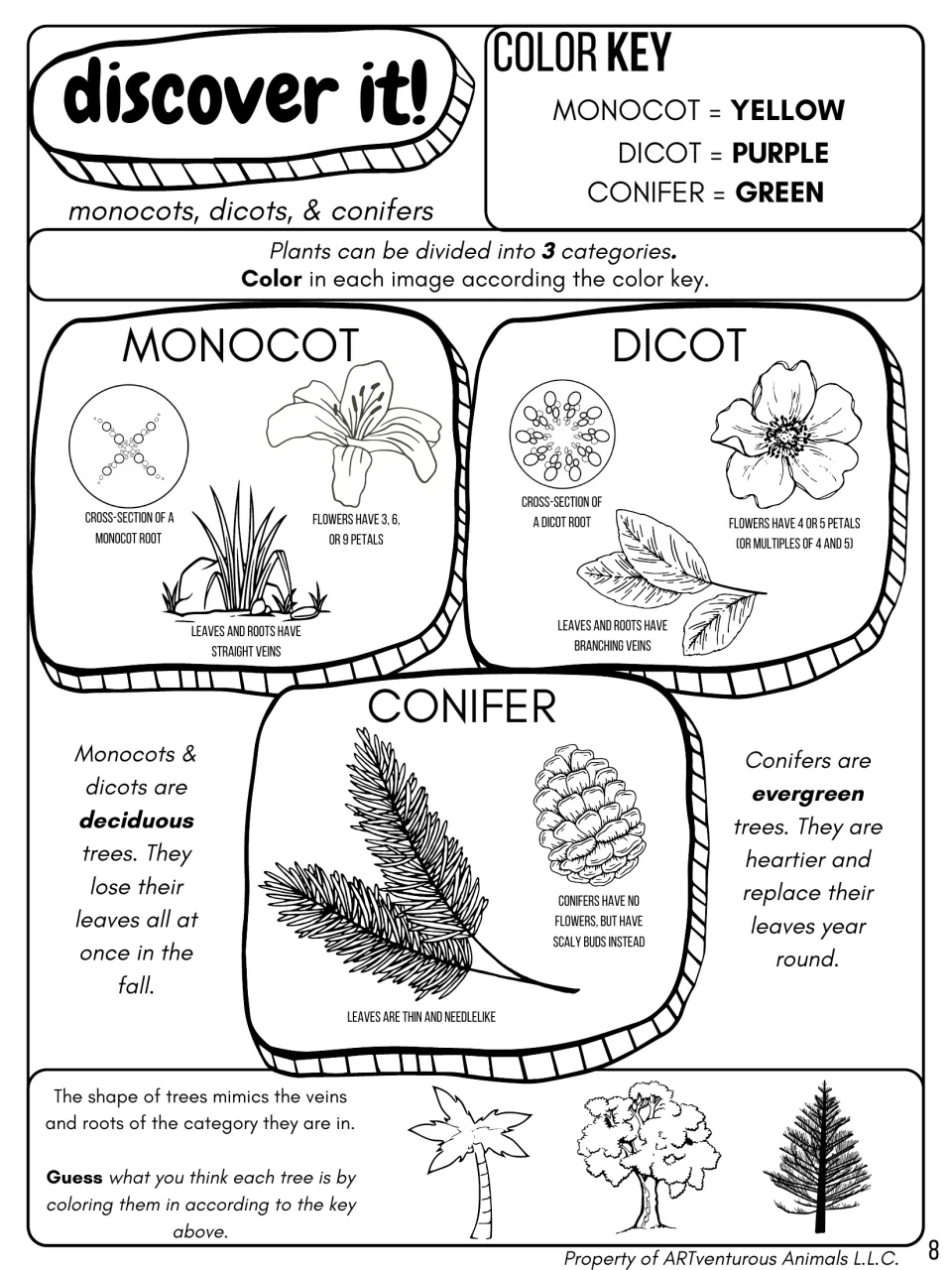 Monocots, dicots and conifers: students color roots, flowers and leaves by a color key, then classify three tree shapes
