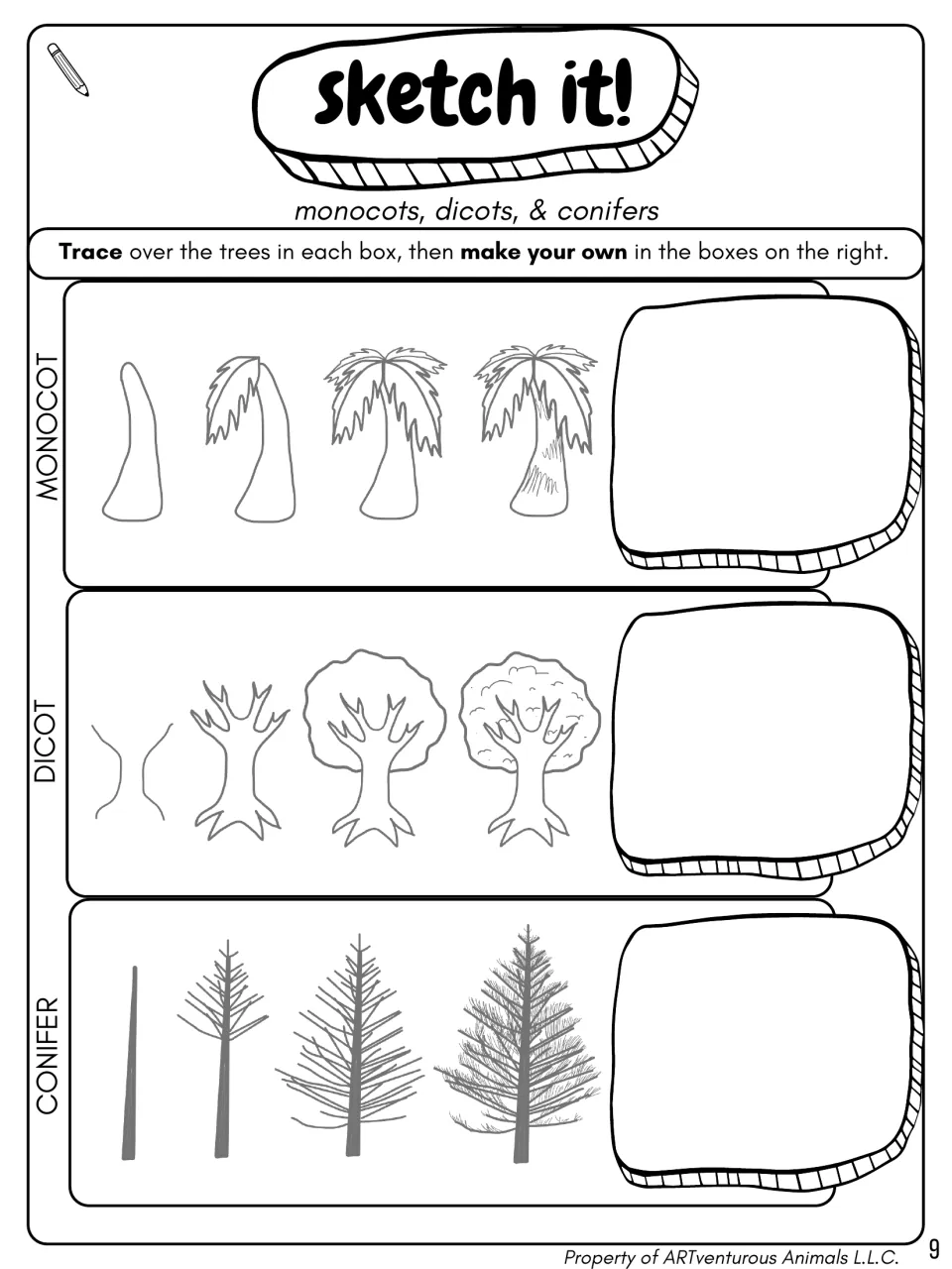 Sketch it! monocots, dicots, conifers: students trace palm, leafy and pine trees step by step, then draw their own