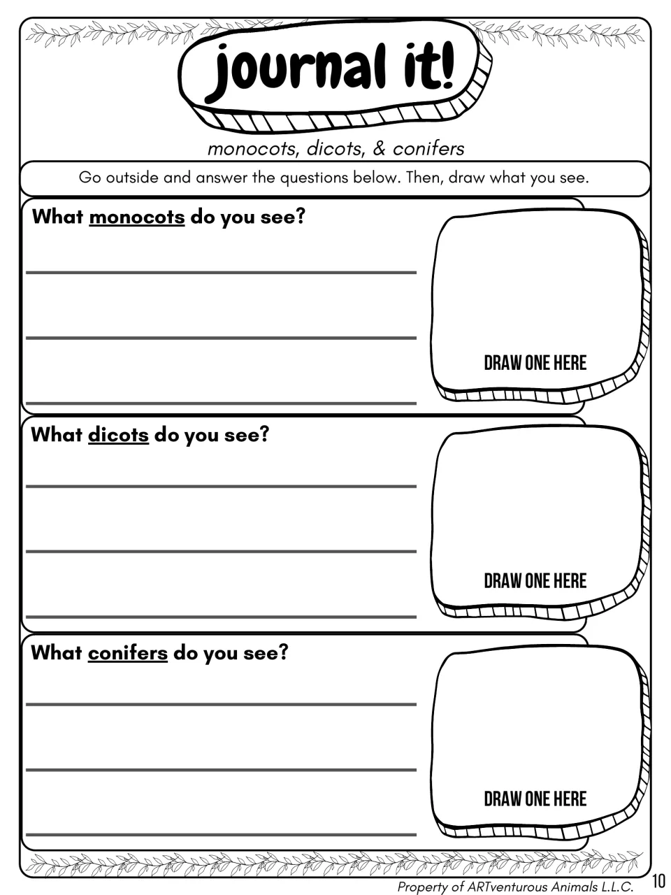 Journal it! nature walk: students go outside, write which monocots, dicots and conifers they see and draw one of each