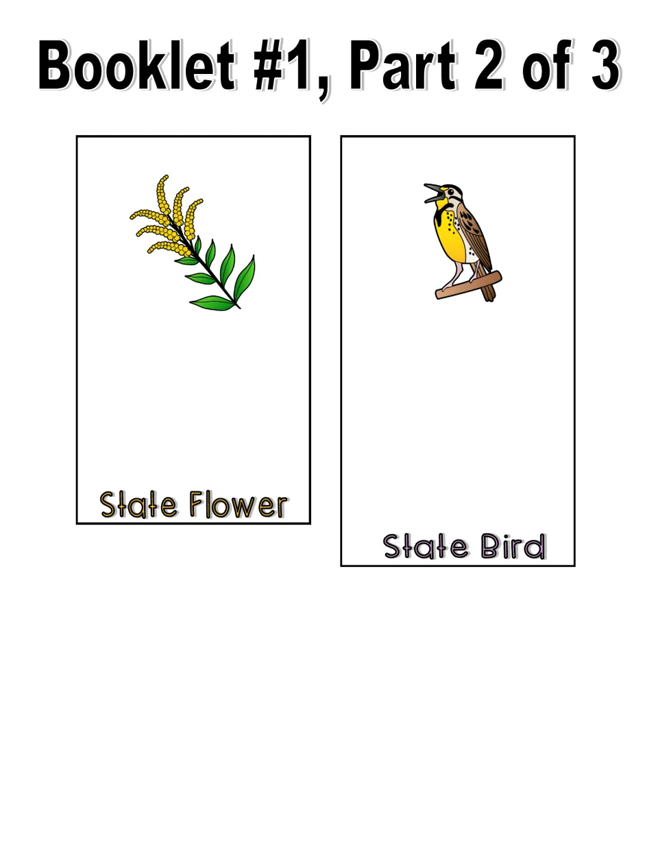 Color booklet part 2 of 3 includes state flower and state bird cutout pages with pictures and writing space