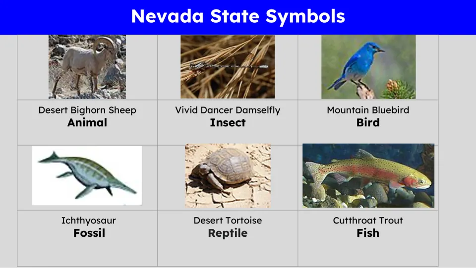 State symbols slide pairing six pictures with Nevada's animal, insect, bird, fossil, reptile, and fish