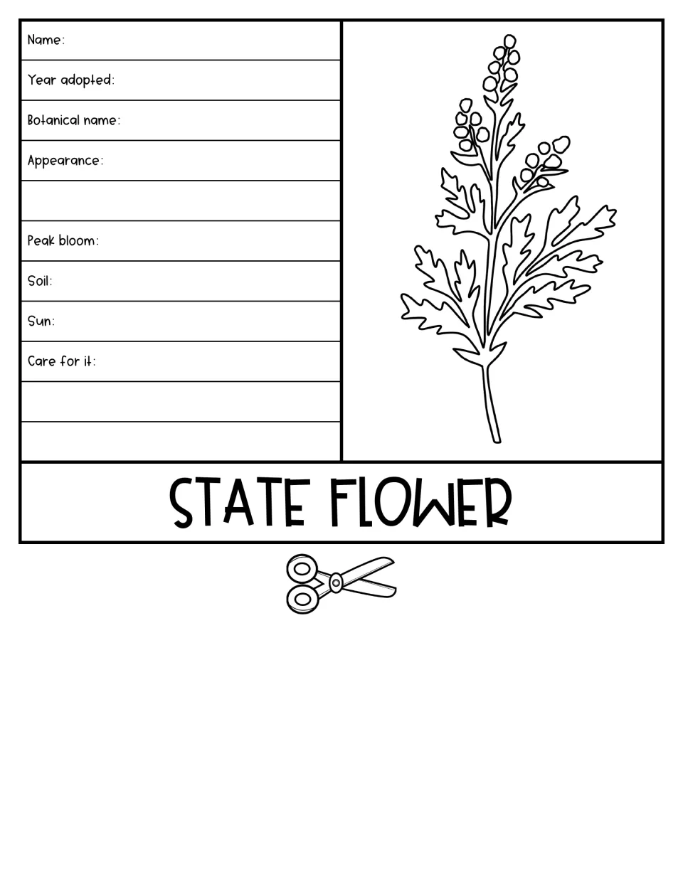 State flower flap: students record name, botanical name, year adopted, appearance, bloom, soil, sun and care for the plant