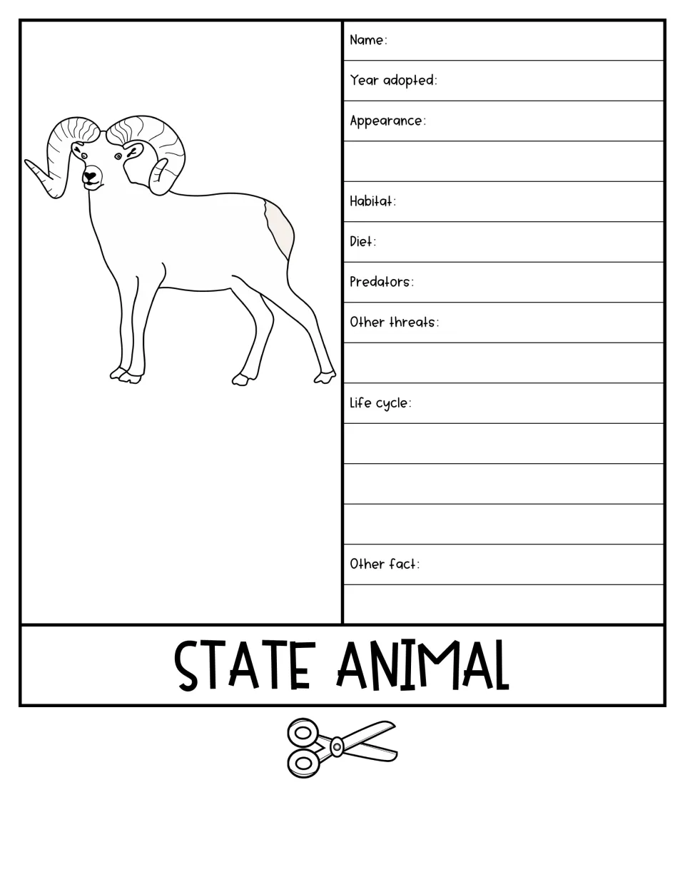 State animal flap: students describe the curl-horned ram's habitat, diet, predators, threats, life cycle and other facts