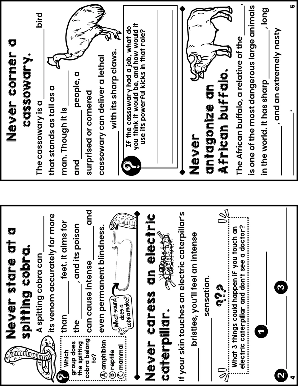 Dangerous animal notes, pages 4 and 5: blanks on spitting cobra, electric caterpillar, cassowary and African buffalo