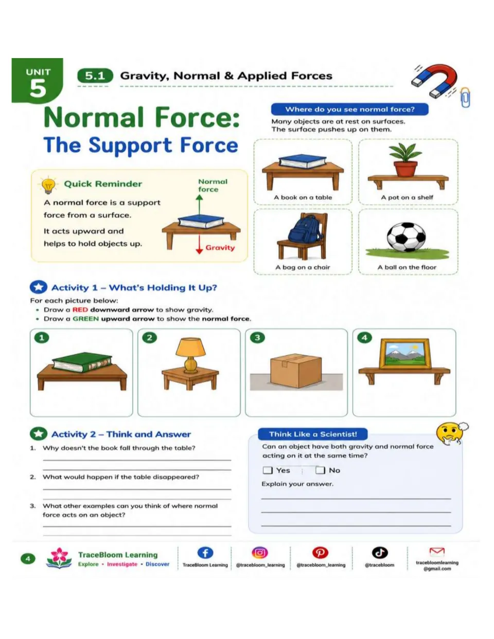 Normal force practice asks students to draw gravity and support arrows for a book, lamp, box, and framed picture