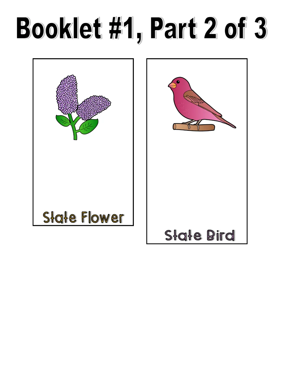 Color booklet, part 2 of 3: state flower and state bird pages illustrated with lilacs and a finch
