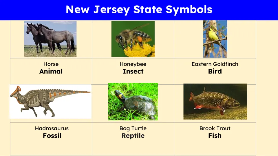 State symbols slide labels horse, honeybee, Eastern Goldfinch, Hadrosaurus, bog turtle, and brook trout