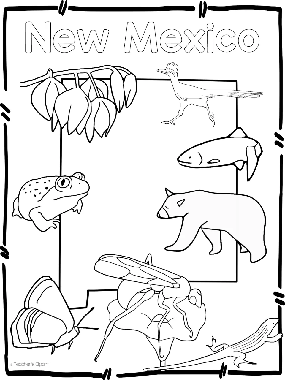 New Mexico symbols to color: yucca, roadrunner, trout, black bear, toad, butterfly, insect and lizard around state outline