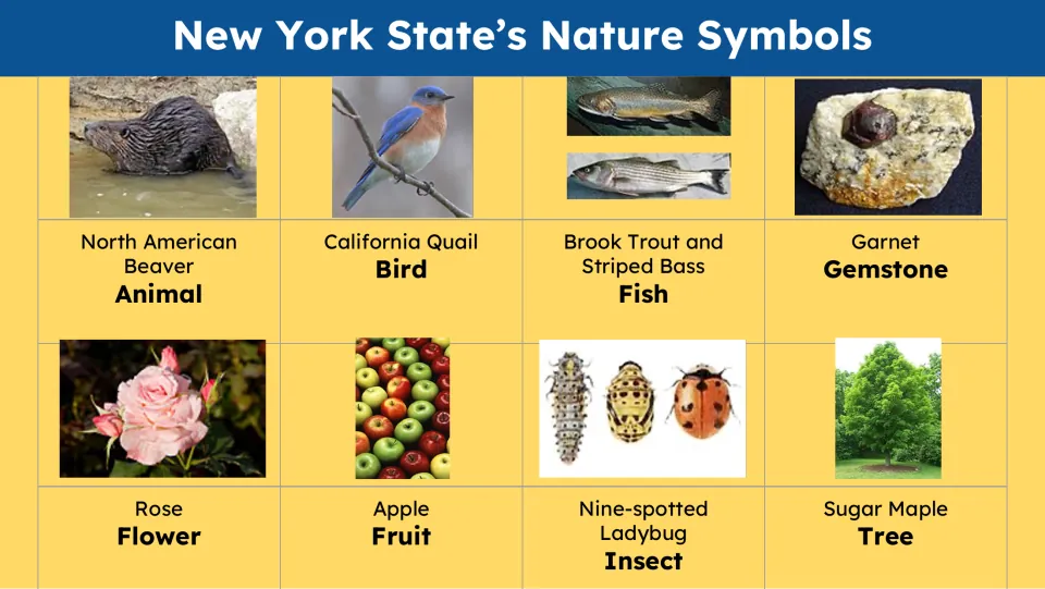 Nature symbols slide labels a beaver, California Quail, trout and bass, garnet, rose, apple, ladybug, and maple