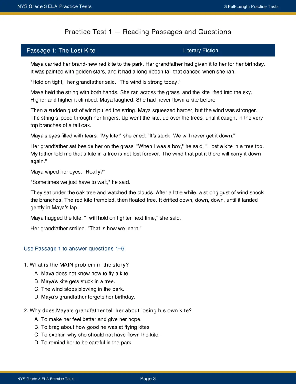 The Lost Kite, a story of Maya and her grandfather; students answer questions 1-2 on the main problem and motive