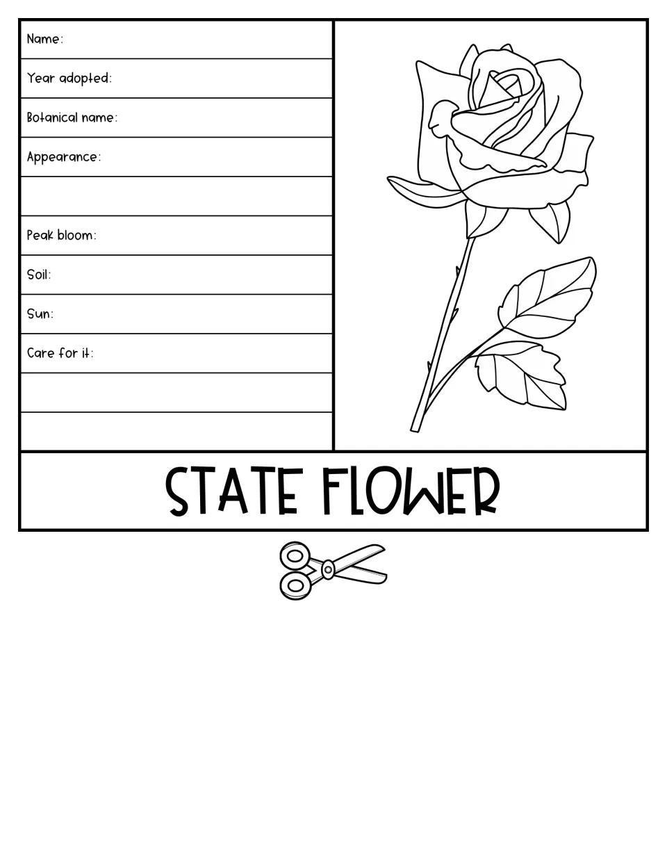 State Flower flap with a rose drawing: students note name, year adopted, botanical name, appearance, bloom, soil, sun, care