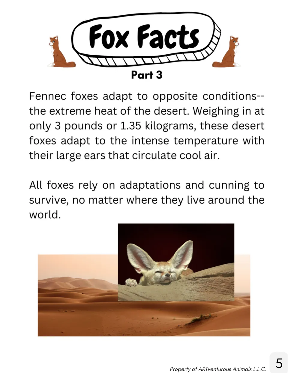 Fox Facts Part 3: reading on fennec foxes using large ears to stay cool in desert heat, with a desert and fennec fox photo