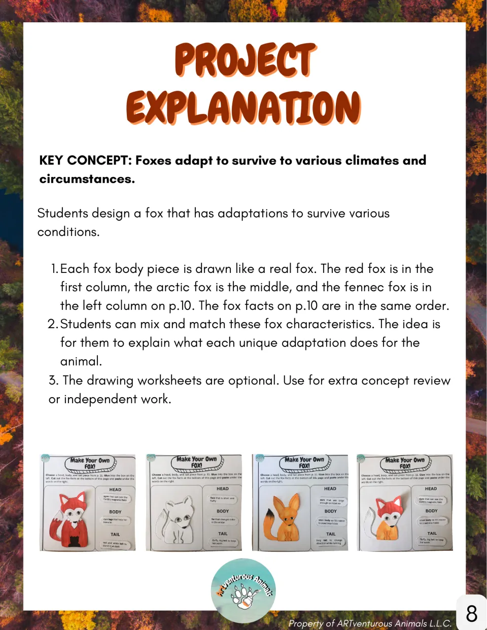 Project explanation: students design a fox mixing red, arctic and fennec fox head, body and tail adaptations, with examples