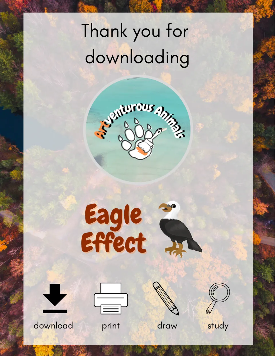 Eagle Effect title page from ARTventurous Animals with a bald eagle and download, print, draw and study icons