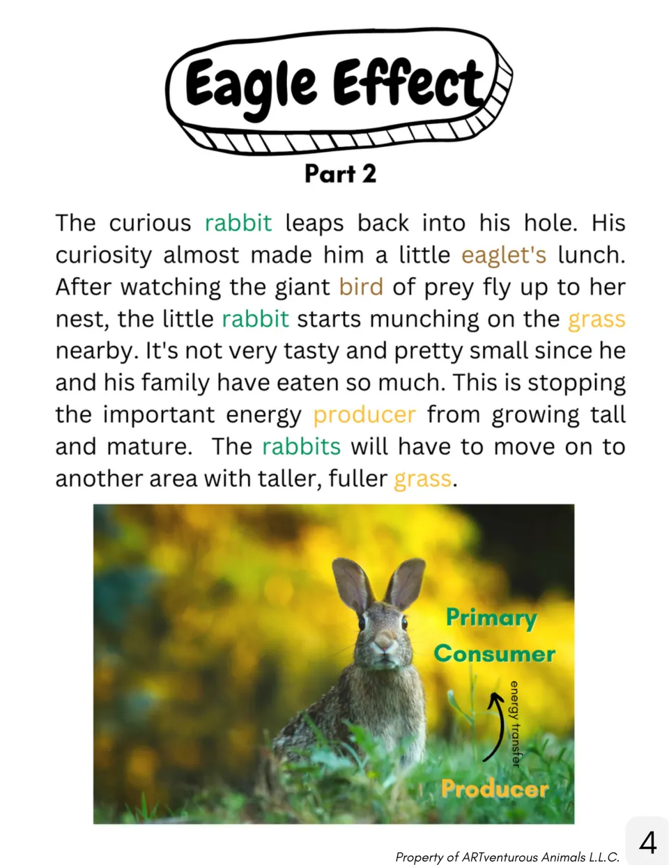 Eagle Effect Part 2 story: a rabbit eats grass, with a photo showing energy transfer from producer to primary consumer
