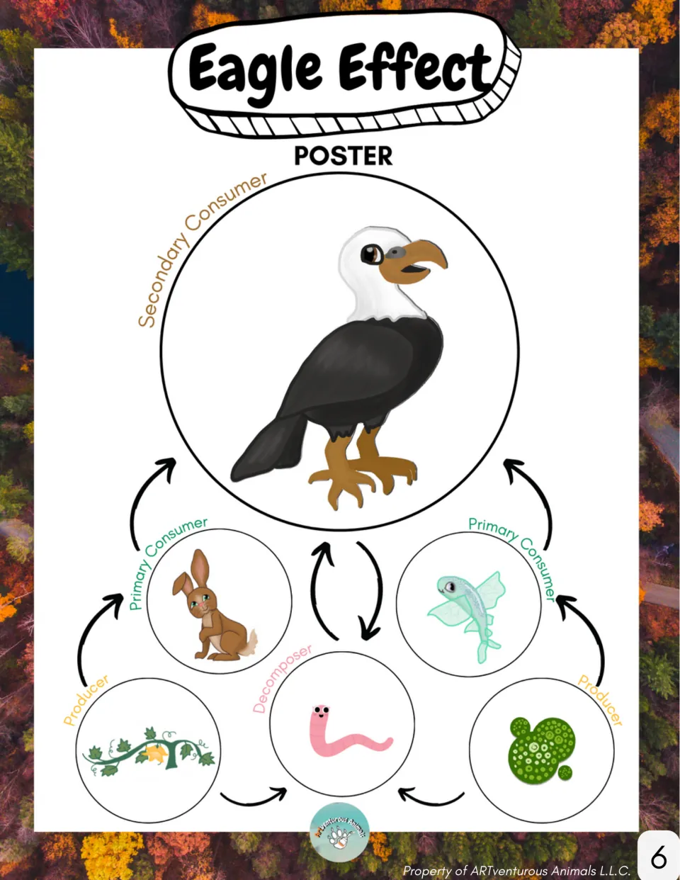 Eagle Effect poster: food web linking plants and algae to rabbit and fish, the bald eagle and a worm as decomposer