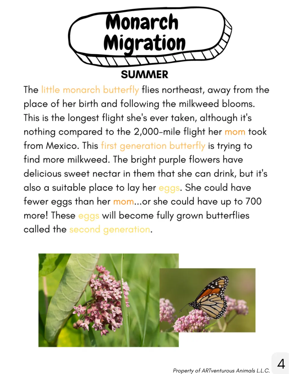 Summer reading follows a first-generation monarch flying northeast to milkweed and laying second-generation eggs.