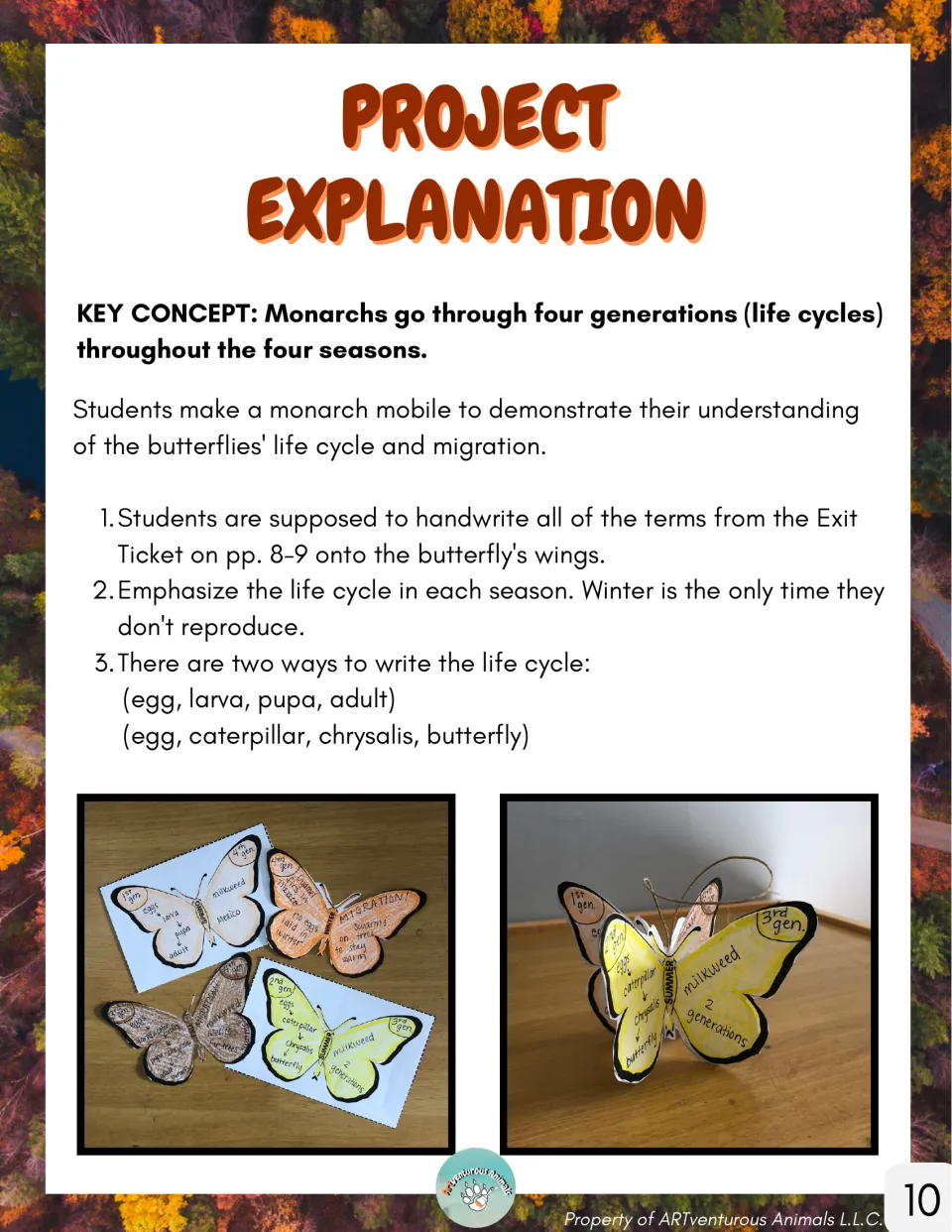 Project explanation directs students to write seasonal life cycle terms on butterfly wings for a monarch mobile.