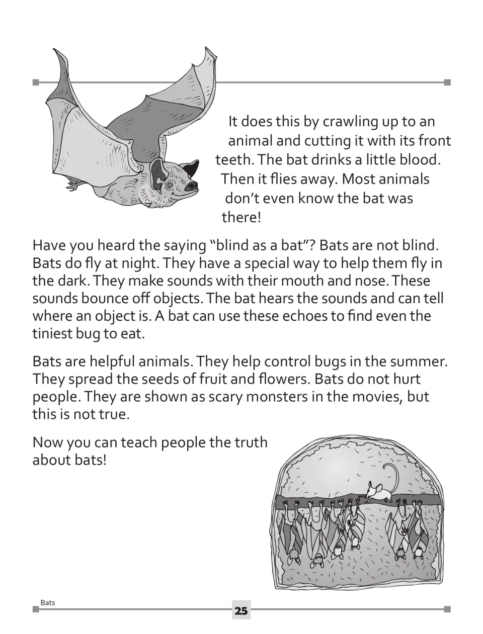 Bat reading passage, part 2: vampire bat feeding, finding food through echoes, insect control, and seed dispersal