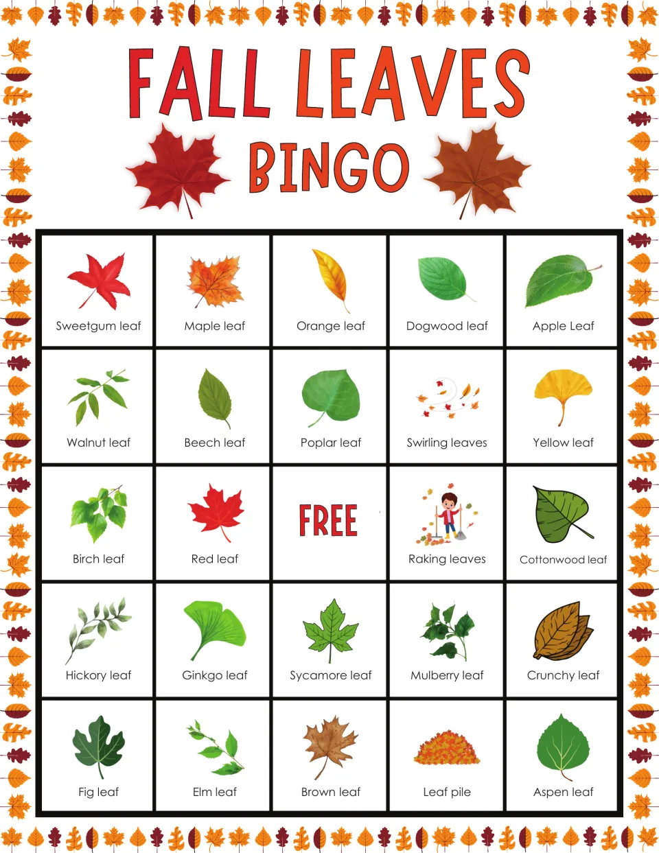Fall Leaves Bingo card: students recognize leaf pictures, top row sweetgum, maple, orange, dogwood and apple leaf