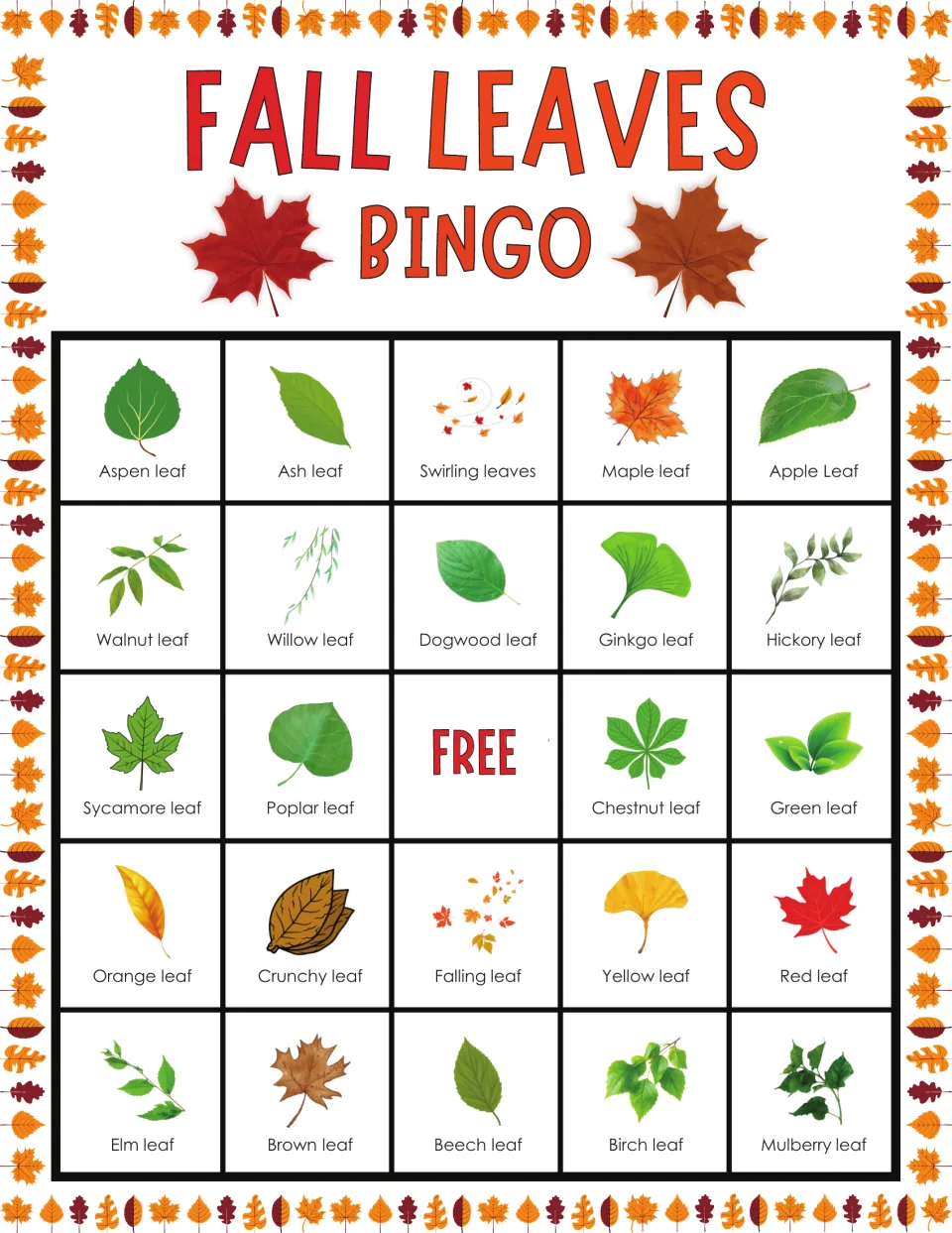 Leaf bingo card with FREE center: students mark called leaves, starting with aspen, ash, swirling leaves, maple, apple