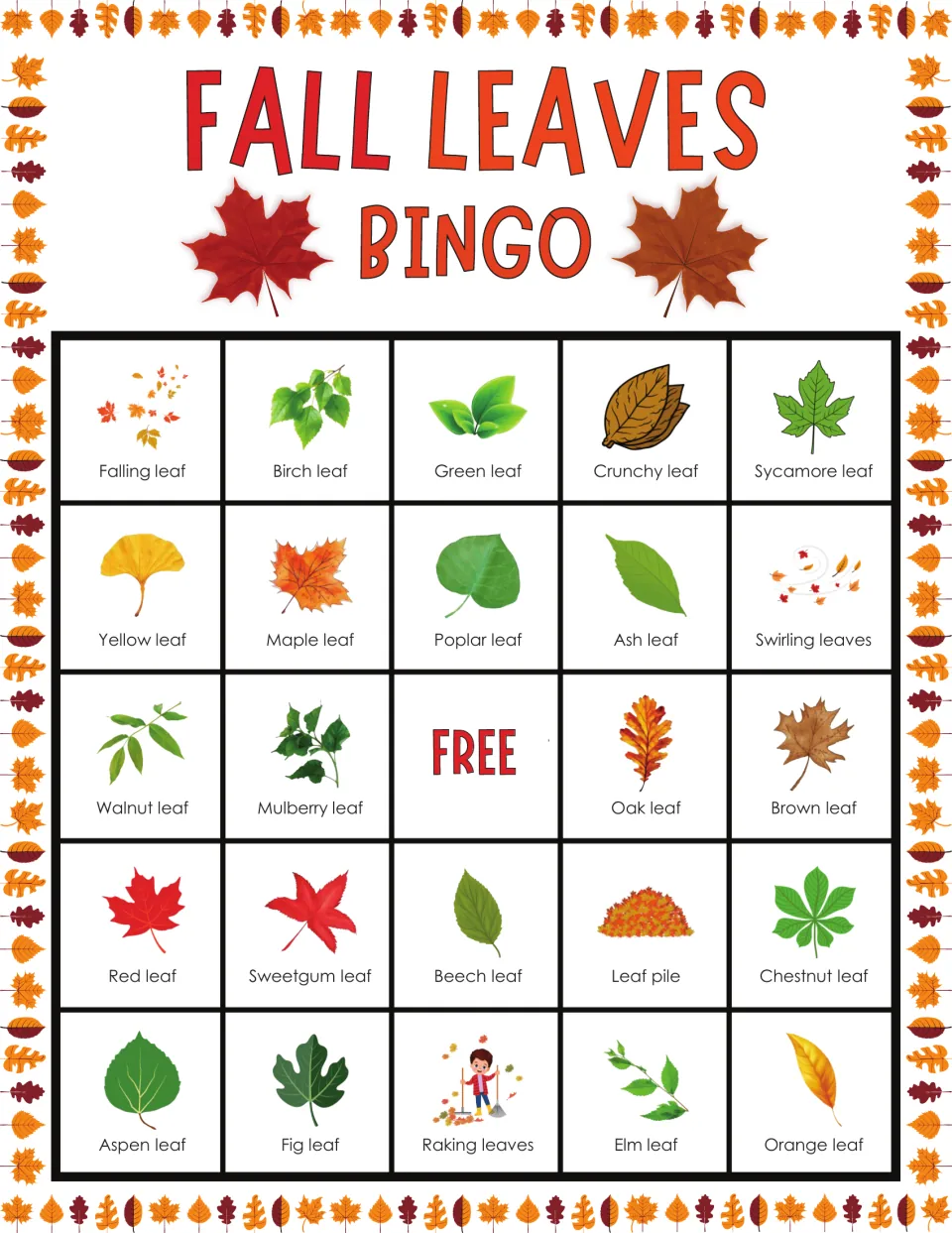 Fall bingo card for leaf recognition; top row shows falling, birch, green and crunchy leaves plus a sycamore leaf