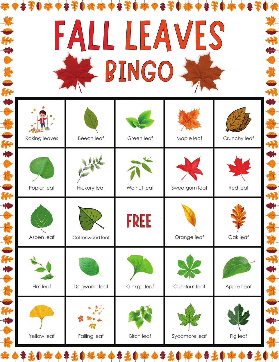 Autumn leaf bingo card: players spot each called picture, beginning with raking leaves, beech, green, maple and crunchy