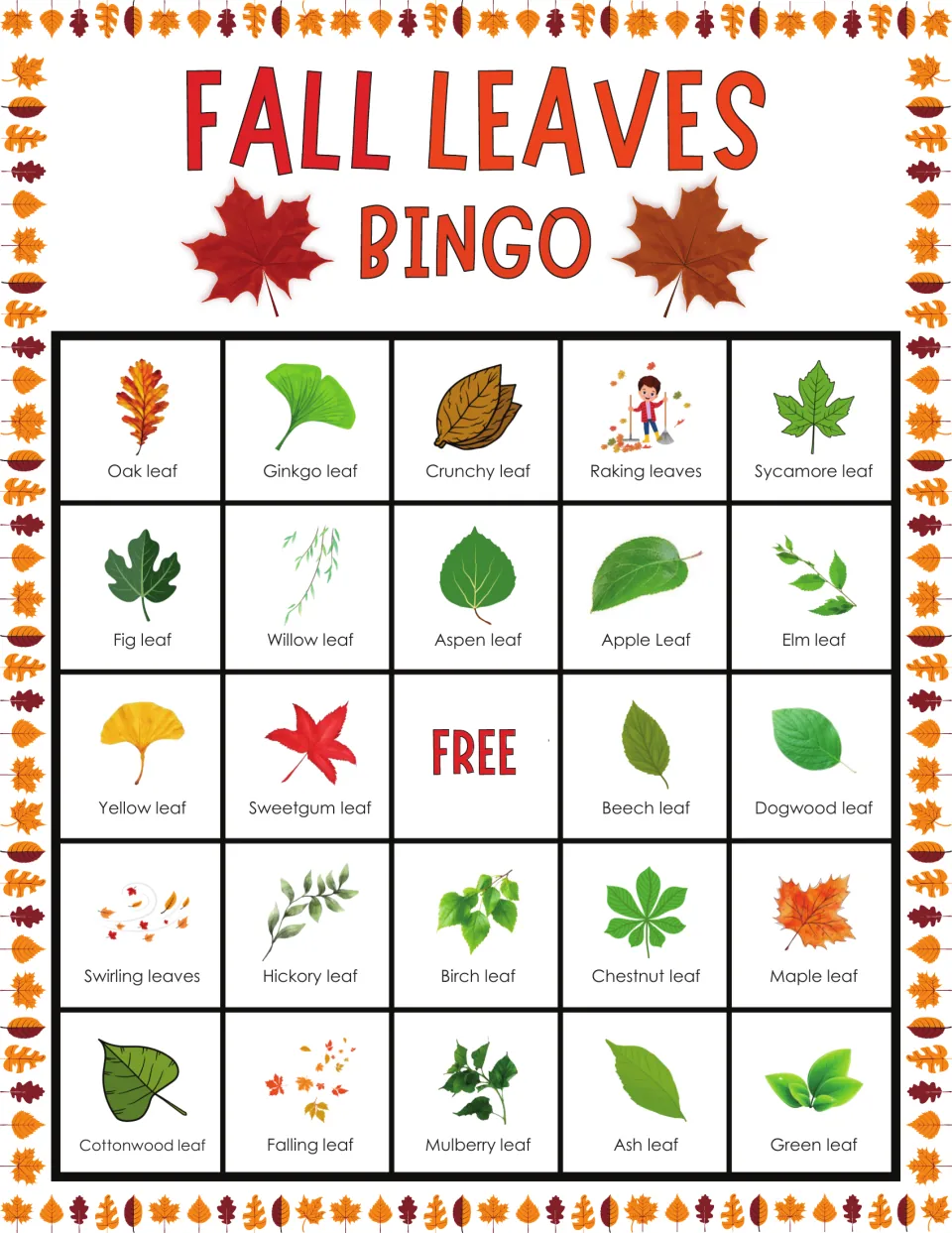 Leaf recognition bingo card whose top row pictures an oak, ginkgo and crunchy leaf, raking leaves and a sycamore leaf