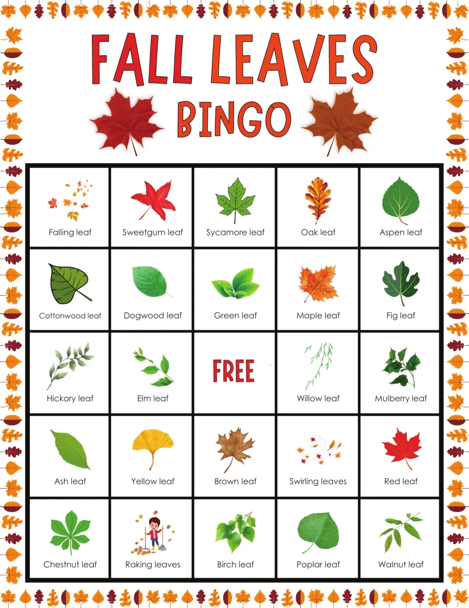 Picture bingo card of named fall leaves; its first row is a falling leaf, sweetgum, sycamore, oak and aspen leaf
