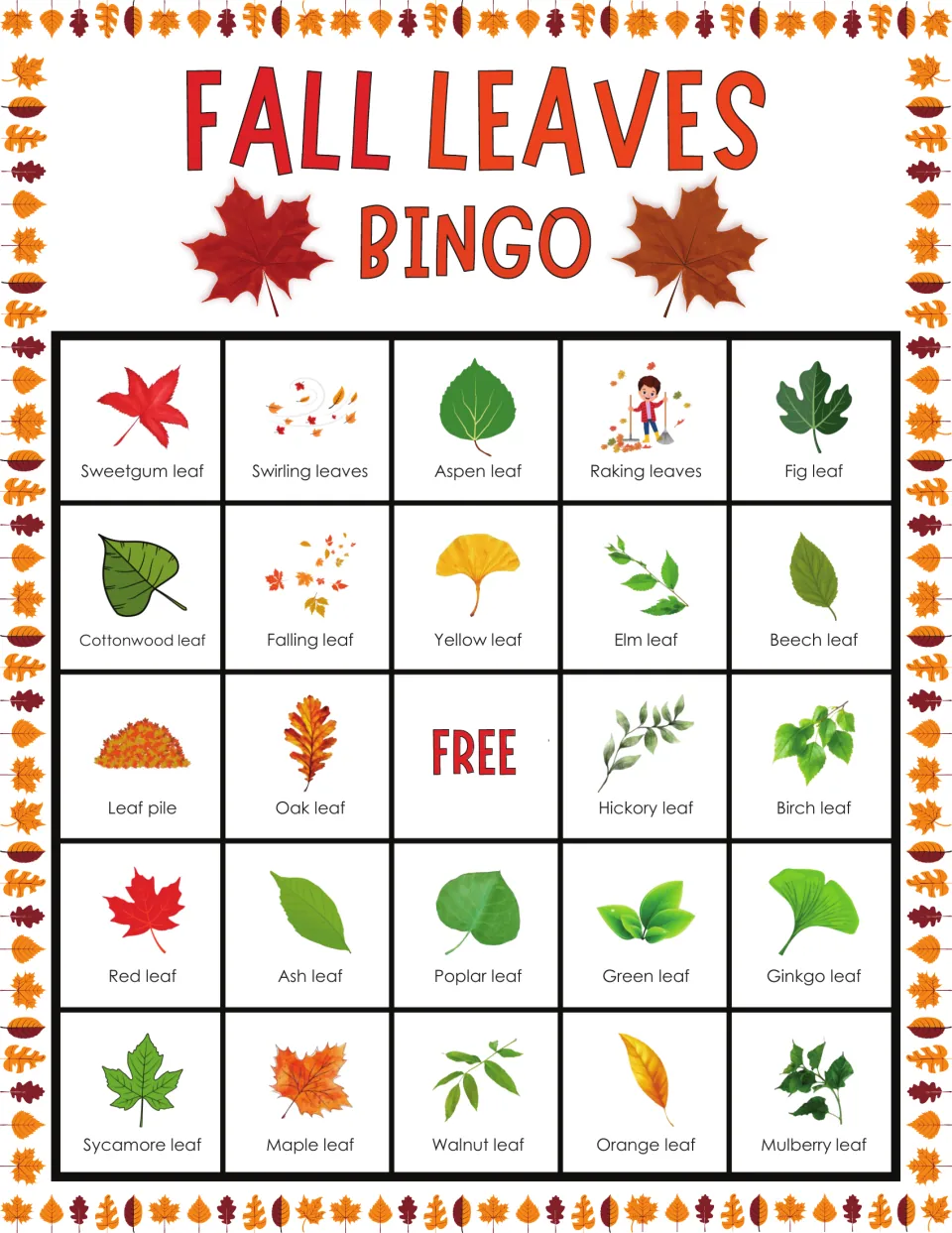 Fall bingo card: students find called leaf images, top row sweetgum, swirling leaves, aspen, raking leaves and a fig leaf