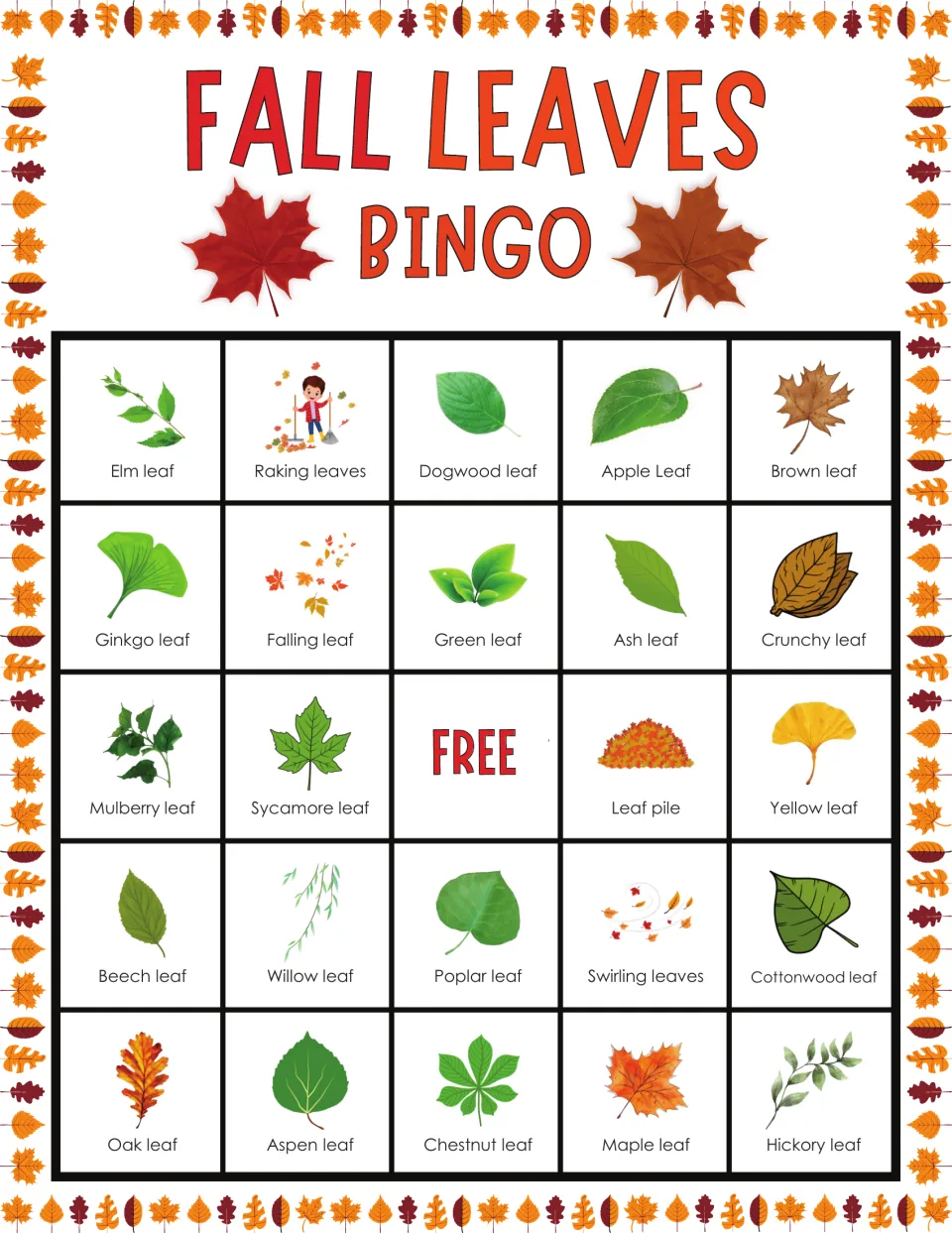Leaf bingo card with labeled pictures and FREE space; row one shows elm, raking leaves, dogwood, apple and brown leaf