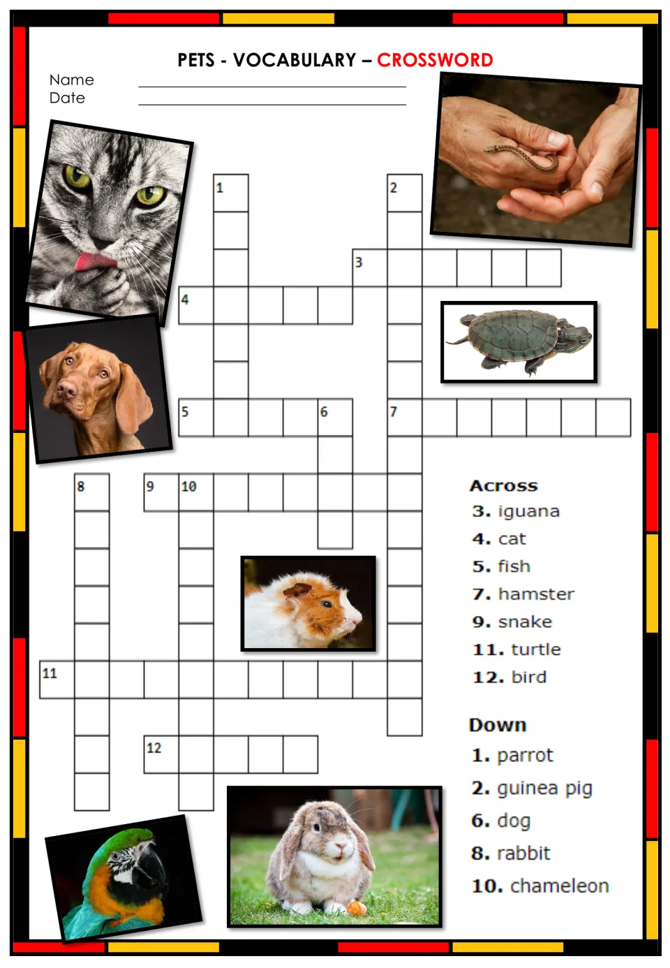 Pets crossword: English clues for iguana, cat, fish, hamster, snake, turtle, parrot, guinea pig and chameleon