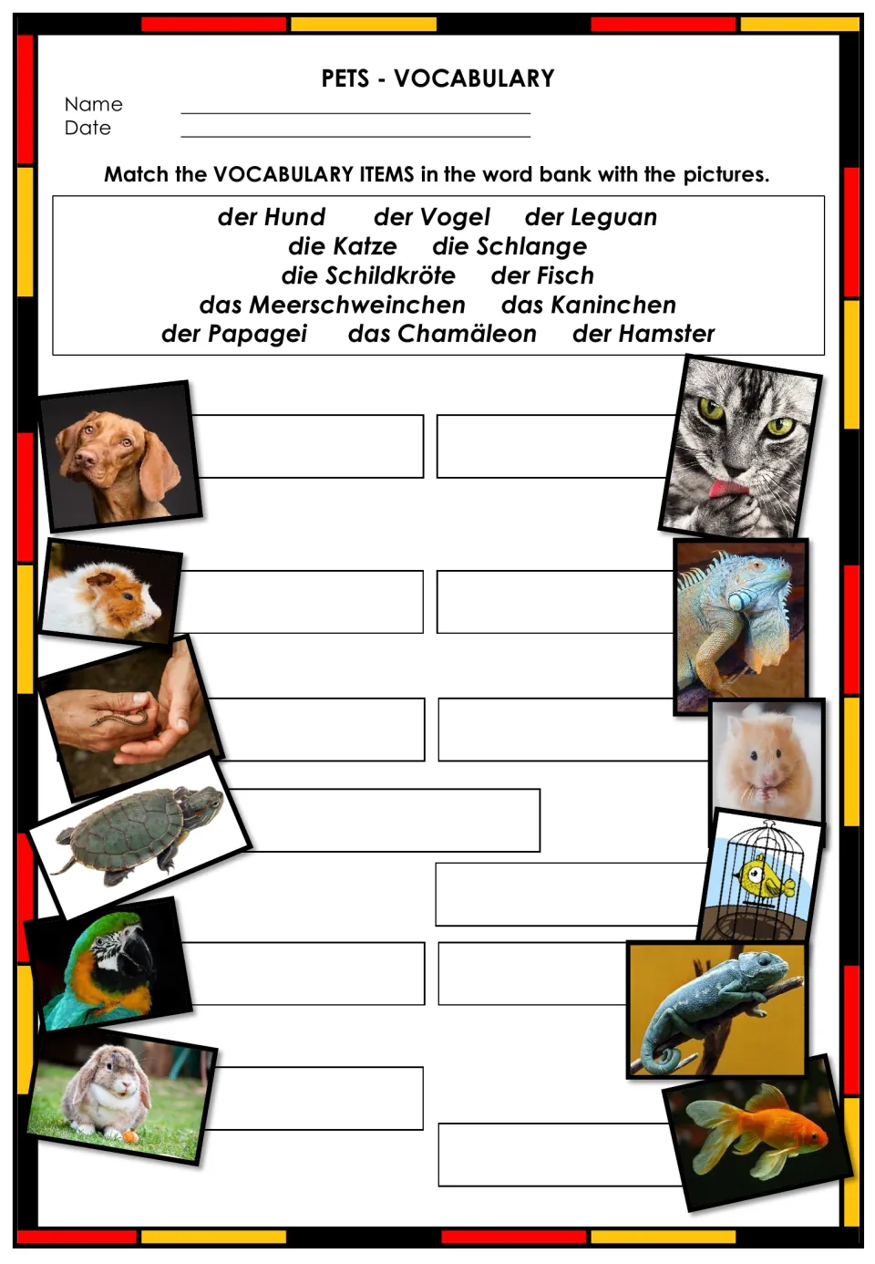 German pets vocabulary: students match word-bank nouns like der Hund, die Katze and das Kaninchen to pet photos