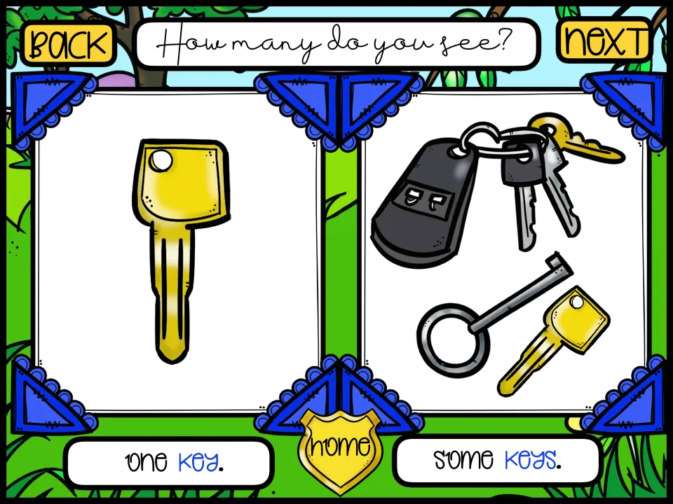 Plurals: How many do you see? Students compare one gold key with a ring of several and say the singular or plural noun