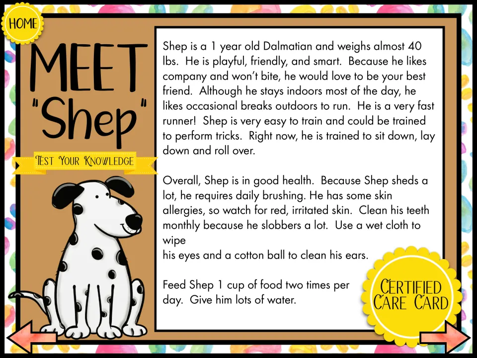 Meet Shep: listening passage about a 1-year-old Dalmatian's tricks, brushing, skin allergies and feeding
