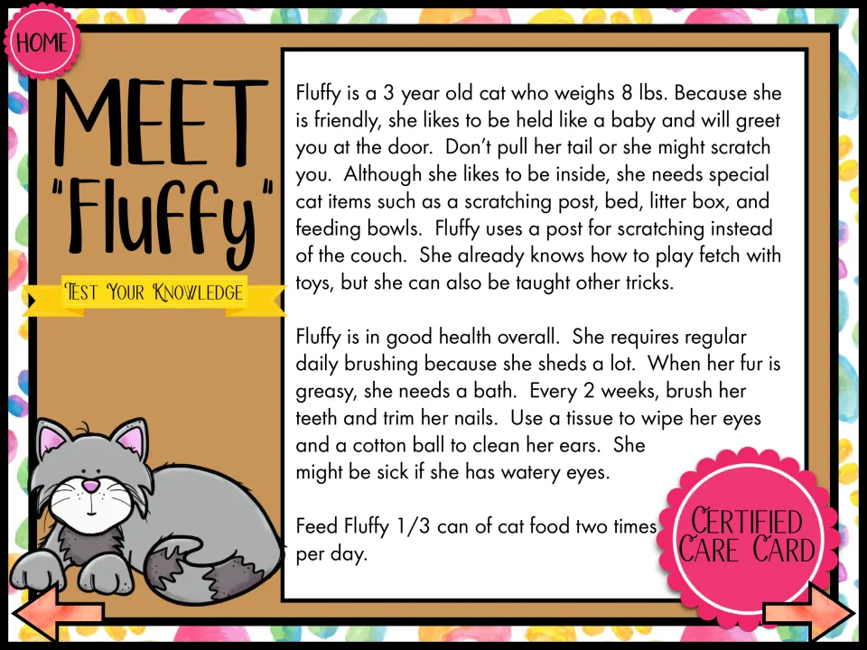 Meet Fluffy: listening passage about a 3-year-old cat's needs such as a scratching post, nail trims and feeding