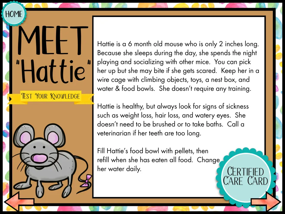 Meet Hattie: listening passage about a 6-month-old mouse, her wire cage, signs of sickness and pellet feeding