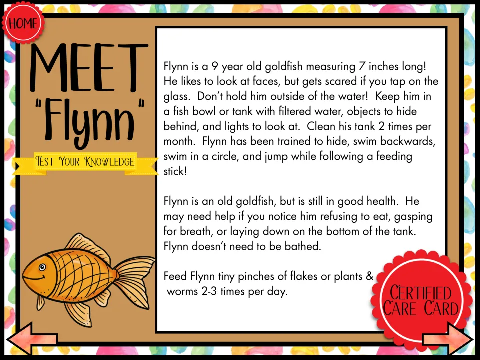 Meet Flynn: listening passage about a 9-year-old goldfish, his tank, tricks and feeding flakes 2-3 times a day