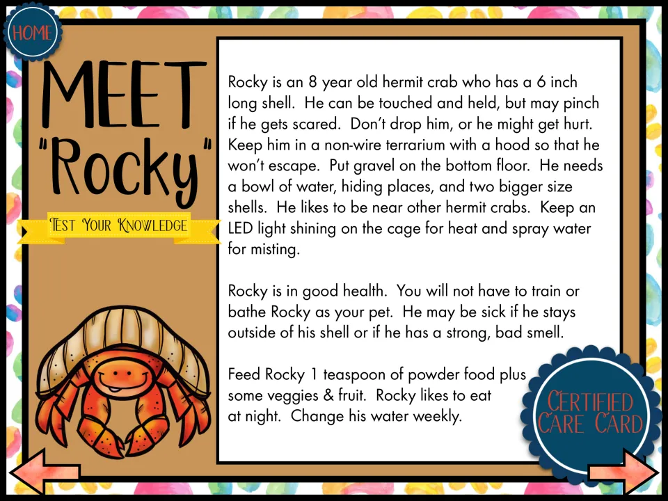 Meet Rocky: listening passage about an 8-year-old hermit crab's terrarium, signs of sickness and nightly feeding
