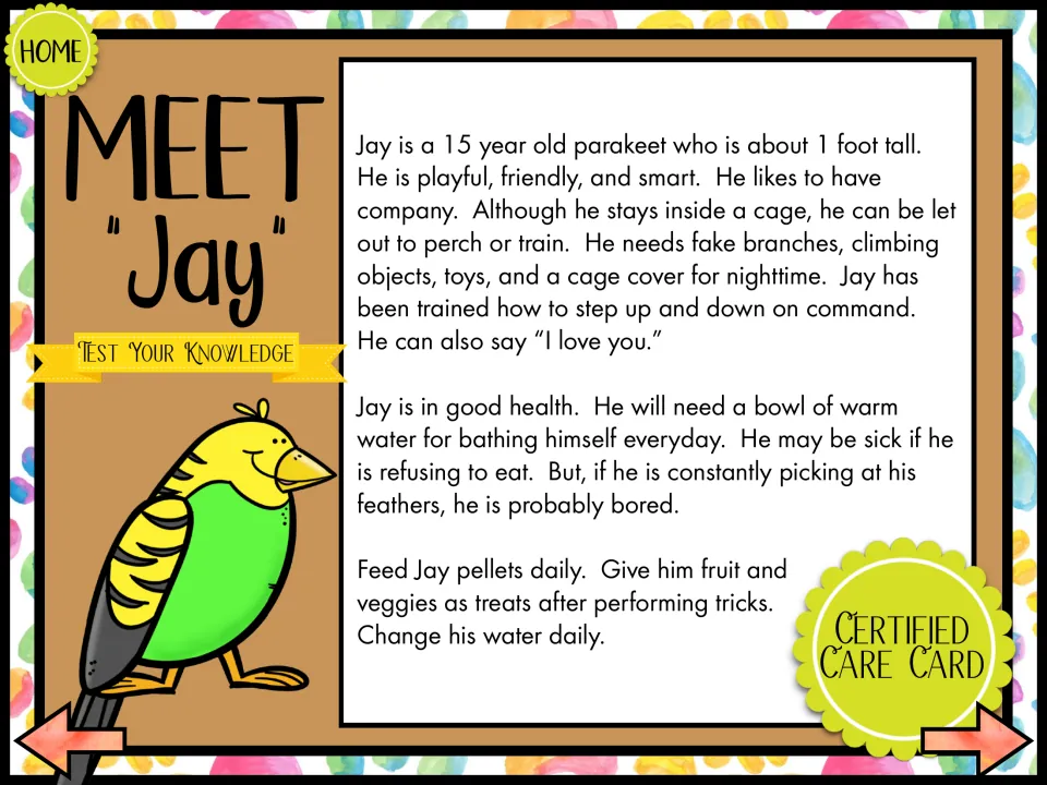 Meet Jay: listening passage about a 15-year-old parakeet's cage, trained tricks, bathing and pellet diet