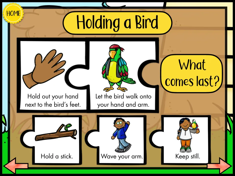 Holding a Bird sequence: hold out a hand, let the parrot walk on, then students choose hold a stick, wave arm or keep still
