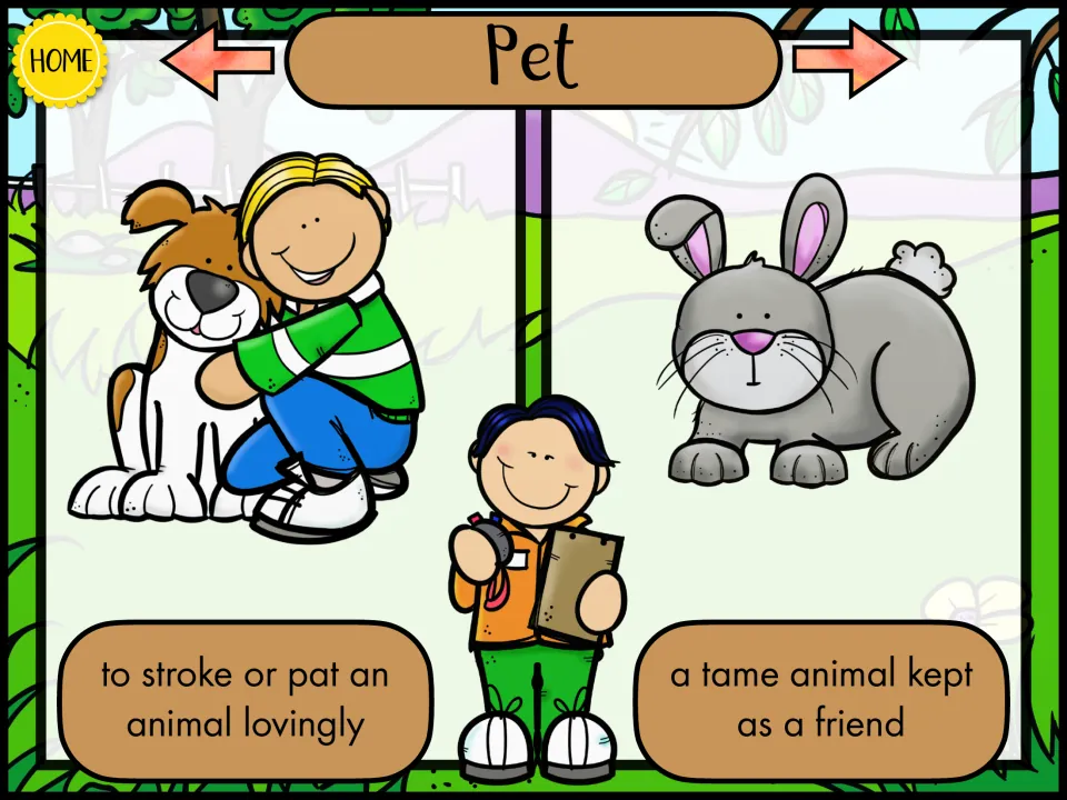 Pet: two meanings shown, a boy hugging a dog for 'to stroke or pat an animal lovingly' and a rabbit, a tame animal friend